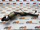 2013 Ford Ranger Xl Catalytic Converter Ab39-5e211-rb 2012-2016